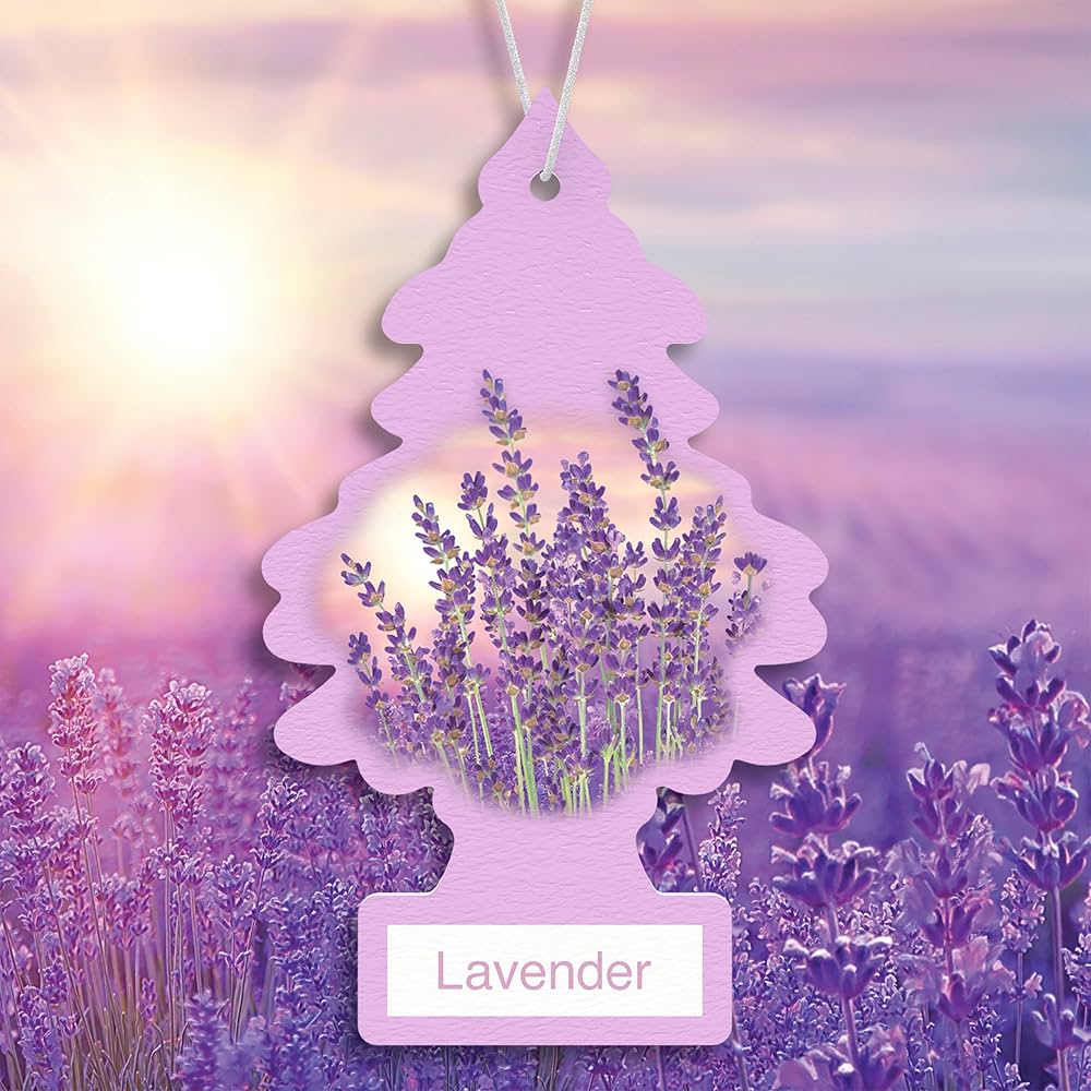 Little trees Lavender